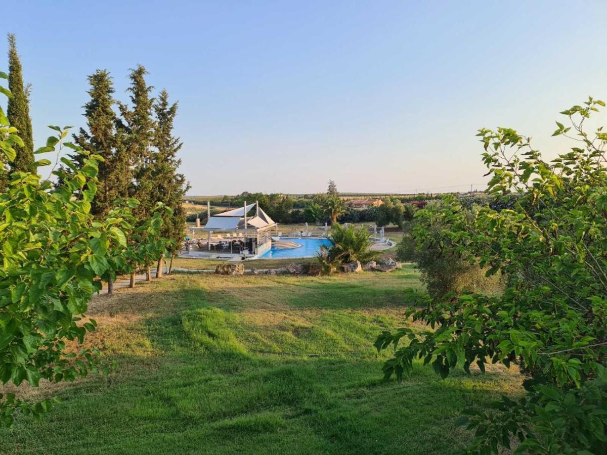 Janis Seaview Villa Néa Fókaia Extérieur photo
